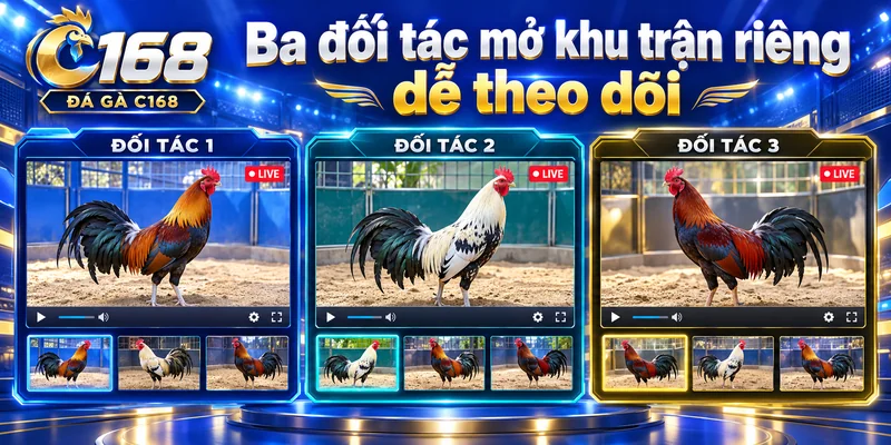Ba đối tác mở khu trận riêng dễ theo dõi