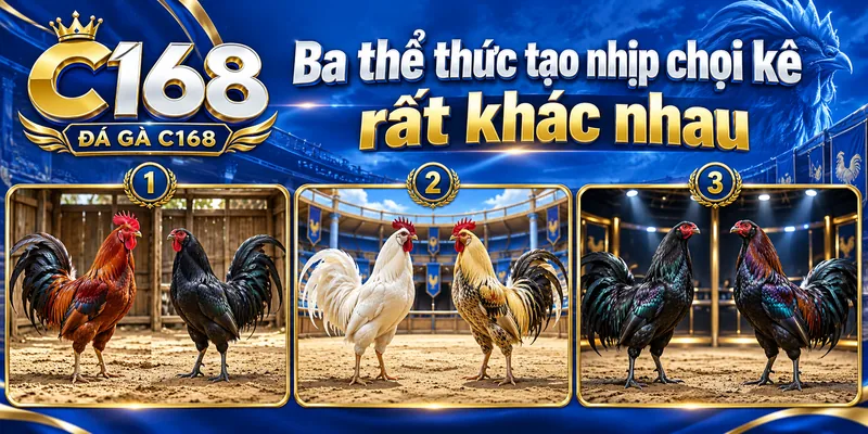 Ba thể thức tạo nhịp chọi kê rất khác nhau